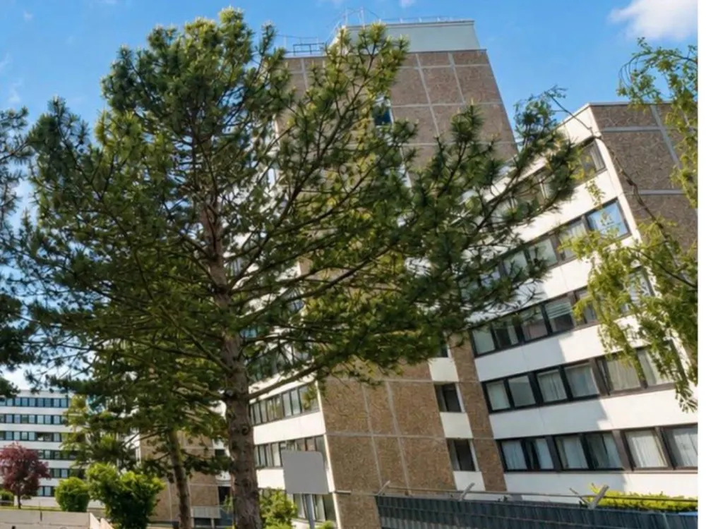 3 Zimmer Wohnung Kerpen Eifelstraße