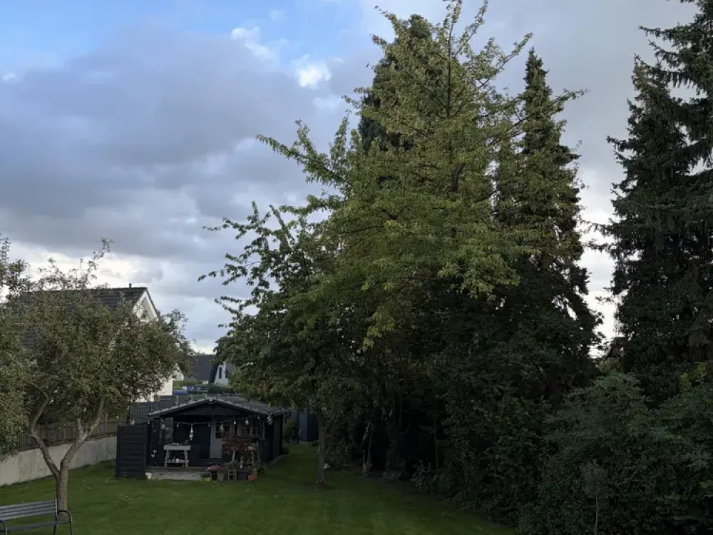Einliegerwohnung mit EBK/Stellplätzen/Loggia