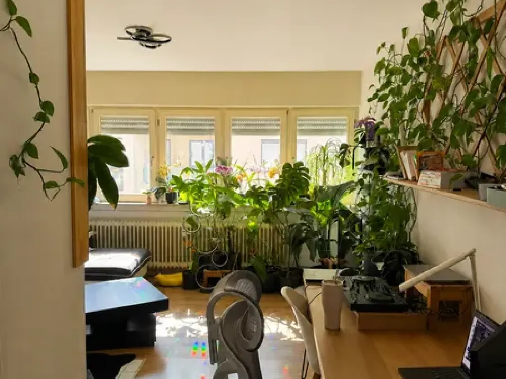 Liebevoll möblierte 2-Zimmer-Wohnung mit Balkon in Offenbach