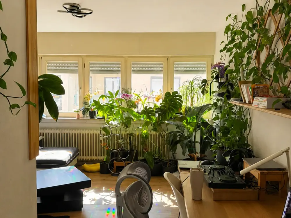 Liebevoll möblierte 2-Zimmer-Wohnung mit Balkon in Offenbach