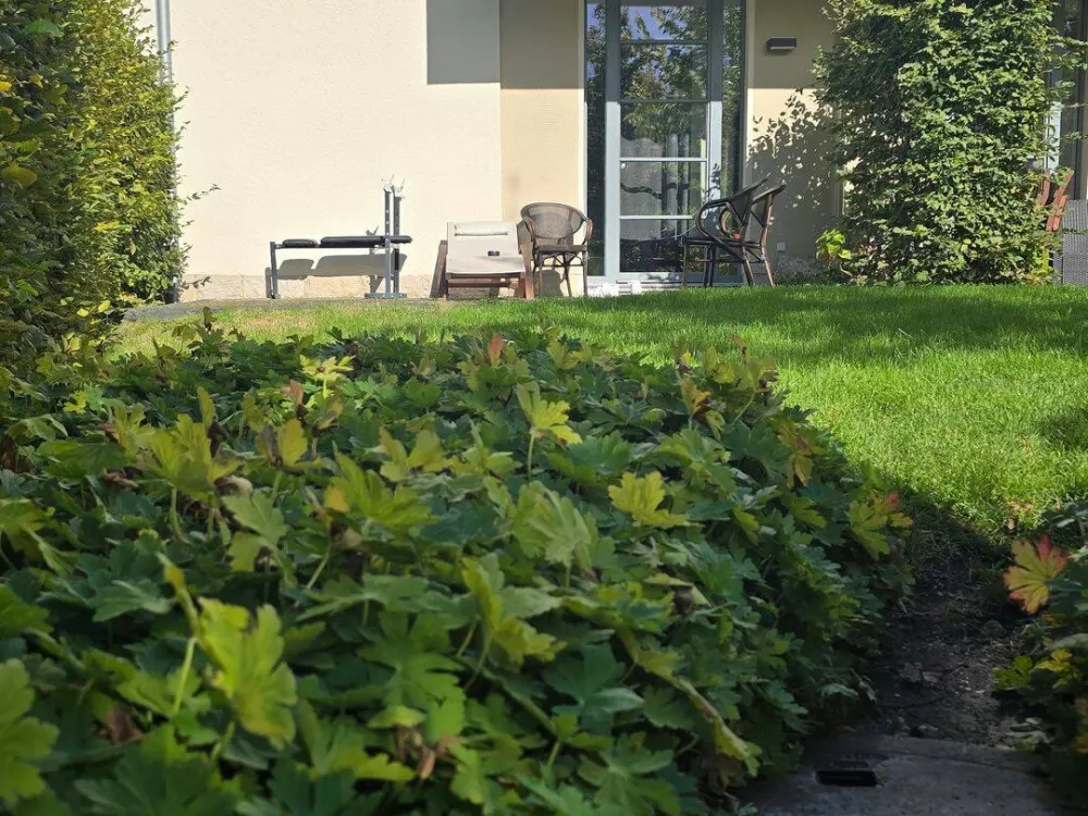 Sehr exklusive 3 - Zimmerwohnung mit Terrasse und Pkw - Stellplatz !!!