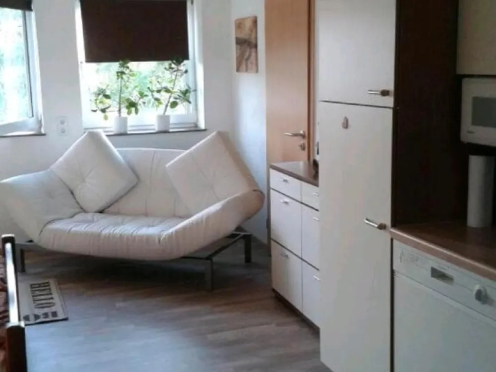One and a Half Room Attic Apartment!