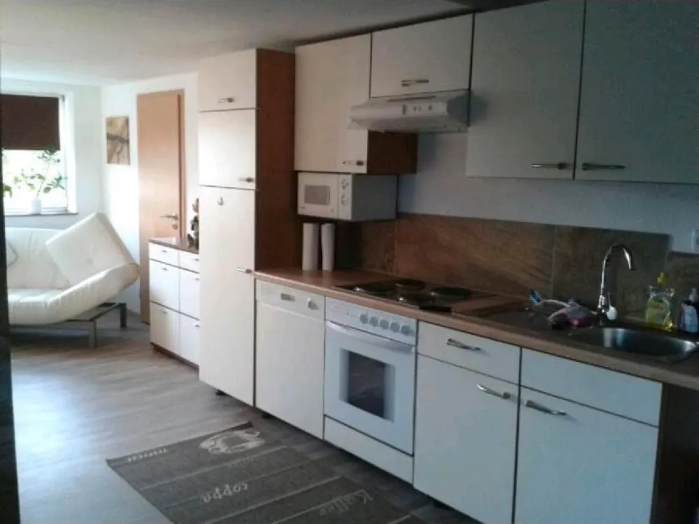 One and a Half Room Attic Apartment!