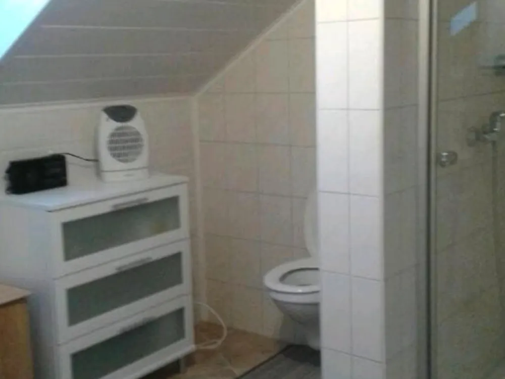 One and a Half Room Attic Apartment!