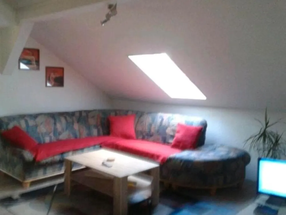 One and a Half Room Attic Apartment!