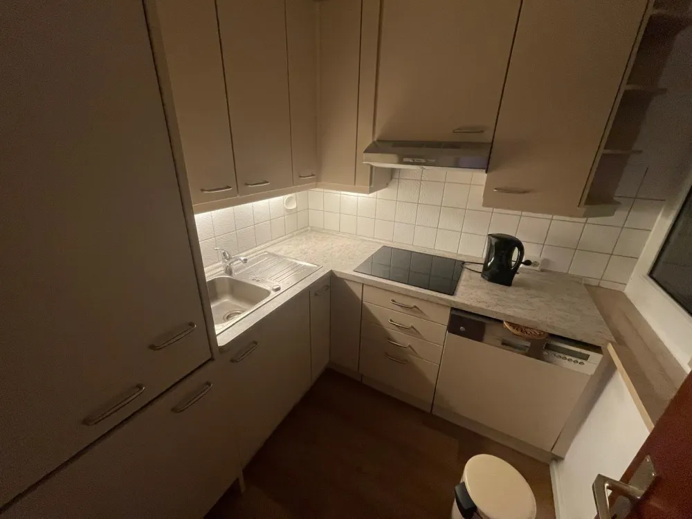 Looking for a New Tenant for Apartment in Central Location Lindau