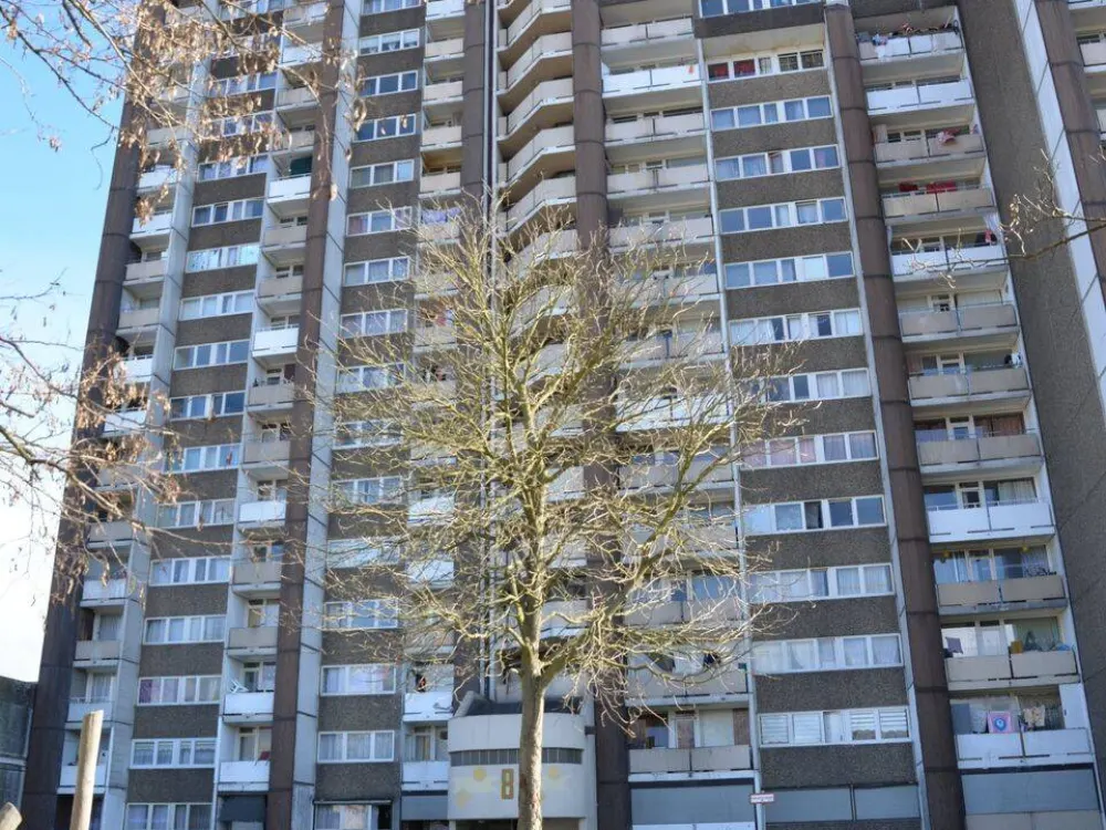 3 Zimmer Wohnung in Meschenich