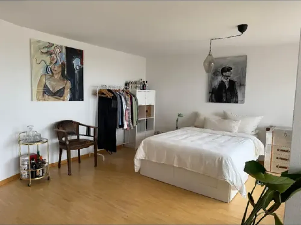 Penthouse mit 1,5 Zimmern in Hannover Zooviertel