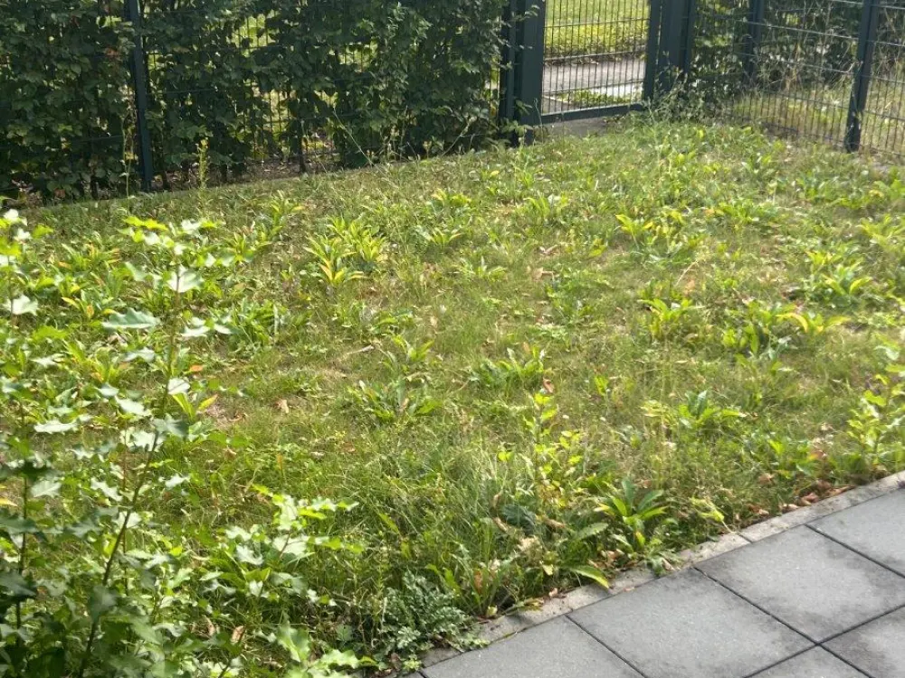 Schönes WG-Zimmer in Hannover-Döhren, zentral & gemütlich