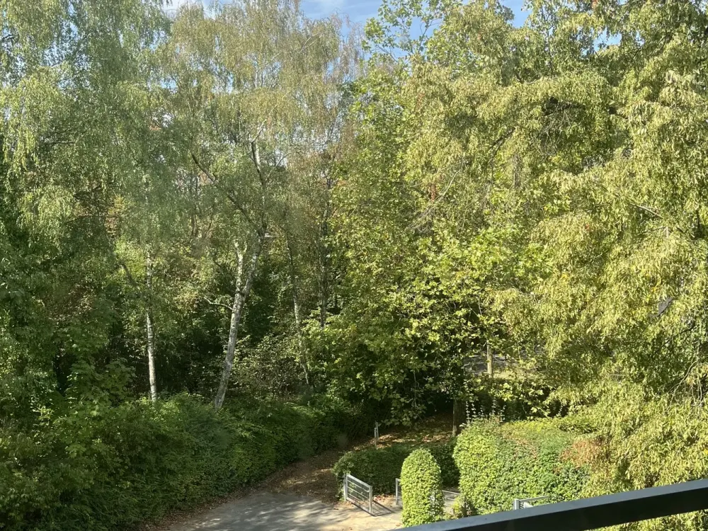 Sanierte, helle 3 Zi.-Wohnung in Garath zum 15.09.2026