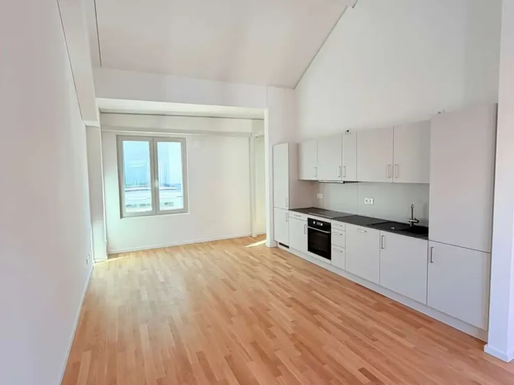 2 Zimmer - Sheddach Höfe