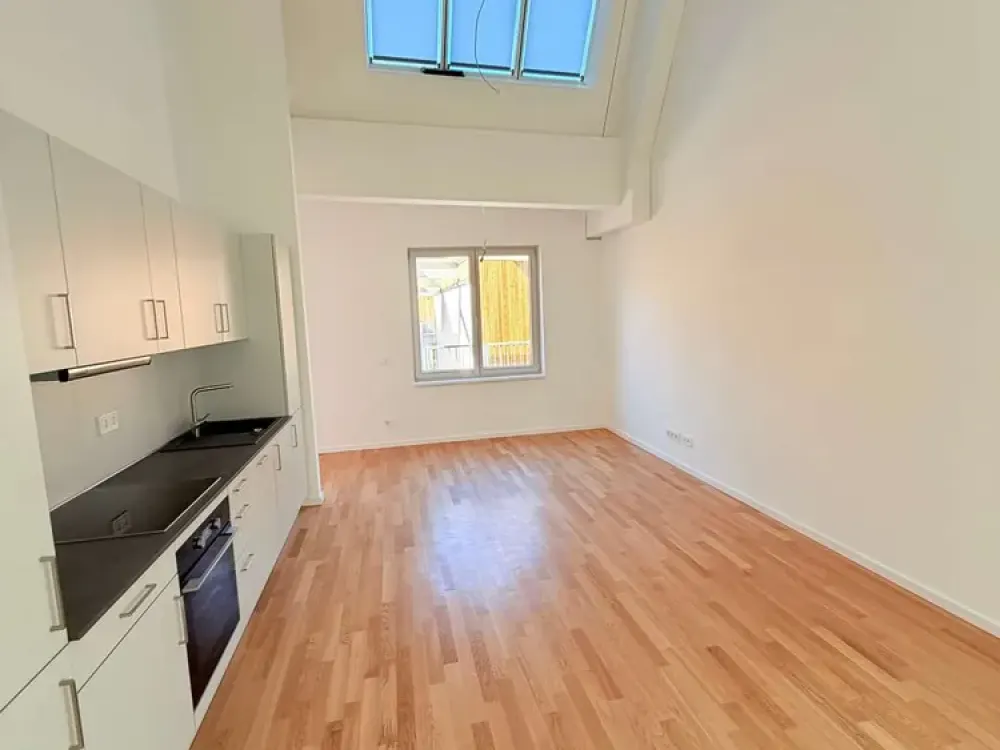 2 Zimmer - Sheddach Höfe
