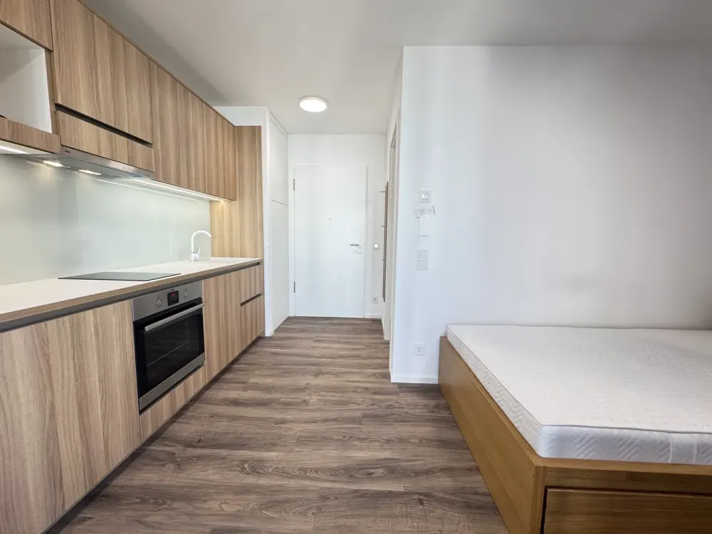Exklusives 1-Zimmer-Neubauapartment, stilvoll vollmöbliert