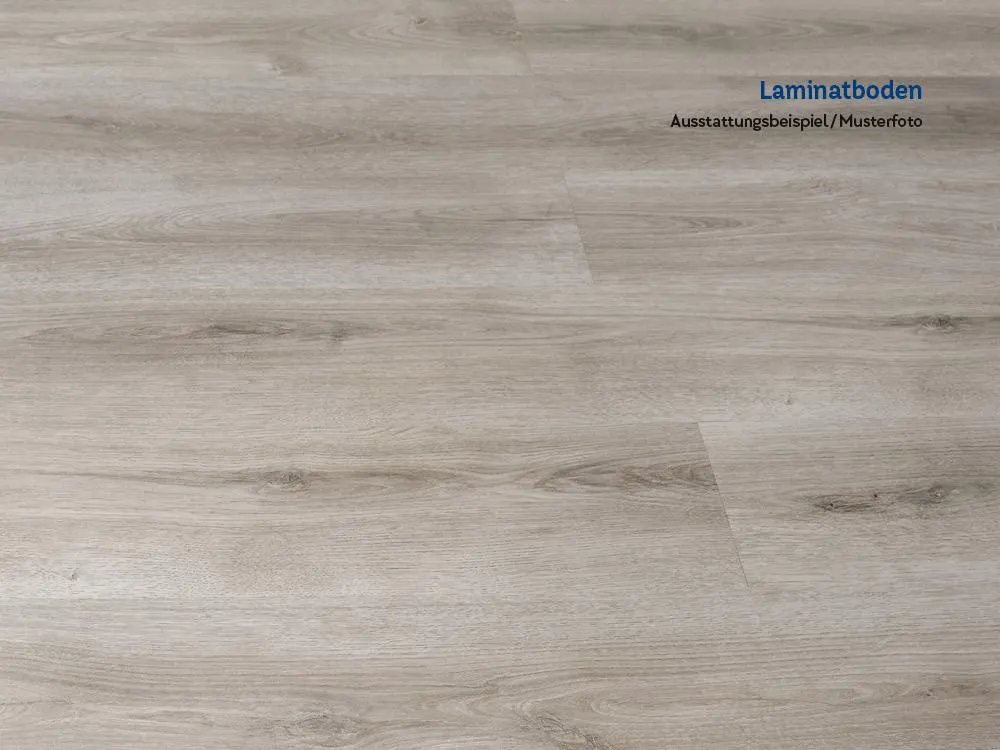Available from October! 3-room apartment in Methler on offer, with laminate flooring