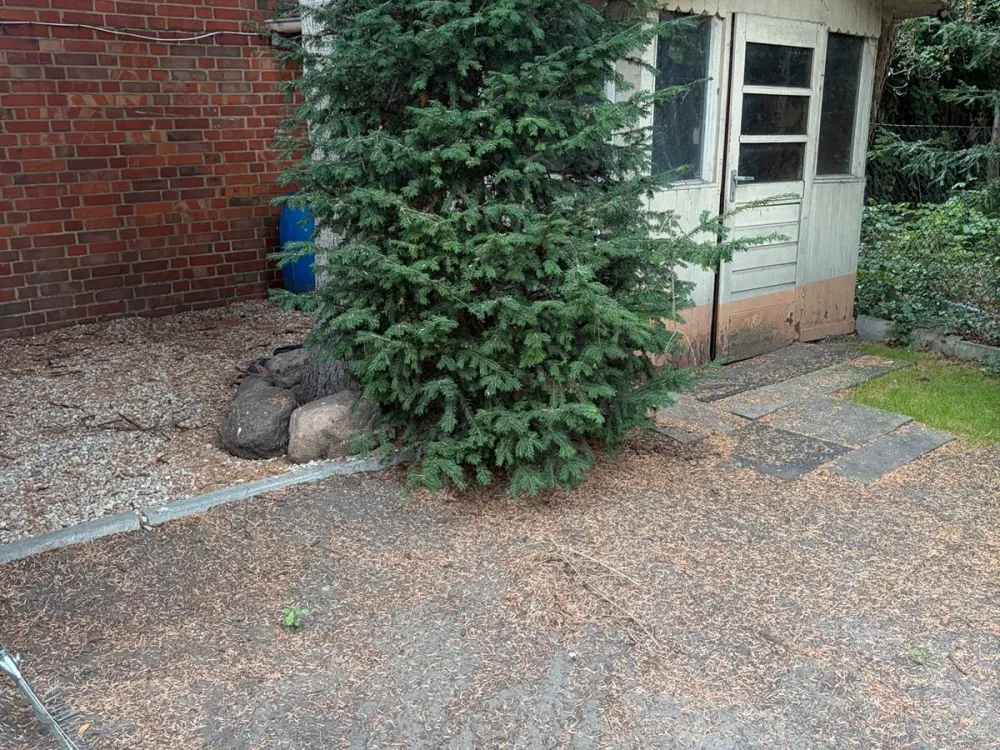 2 Zimmer Kernsaniert Sehr Zentral Bungalow mit Garten