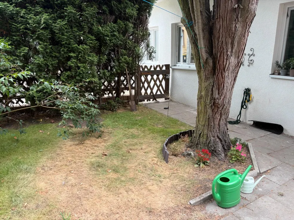 2 Zimmer Kernsaniert Sehr Zentral Bungalow mit Garten