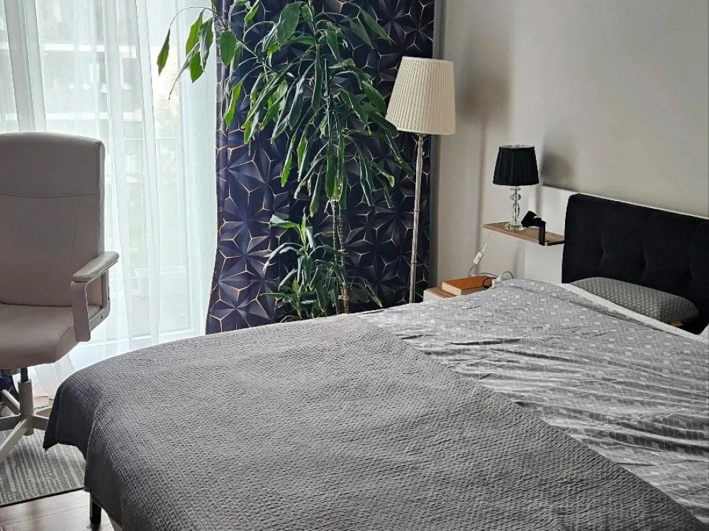 Nachmieter gesucht, 3 Zimmer in Adlershof, möbliert