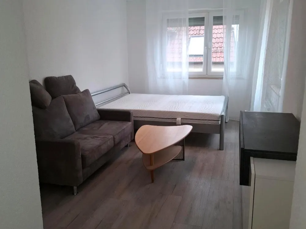 Wohnung zu vermieten (ab Oktober 2026)