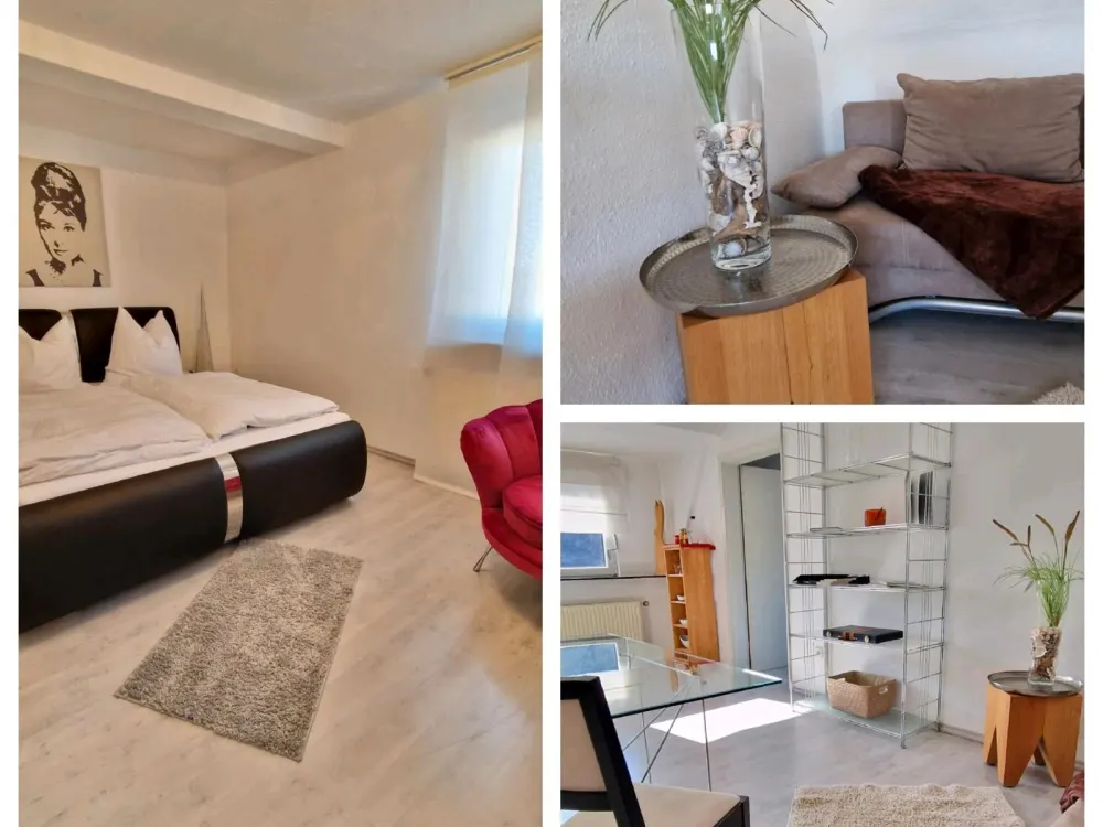 Gemütliches möbliertes 2- Zimmer Apartment in Nürnberg