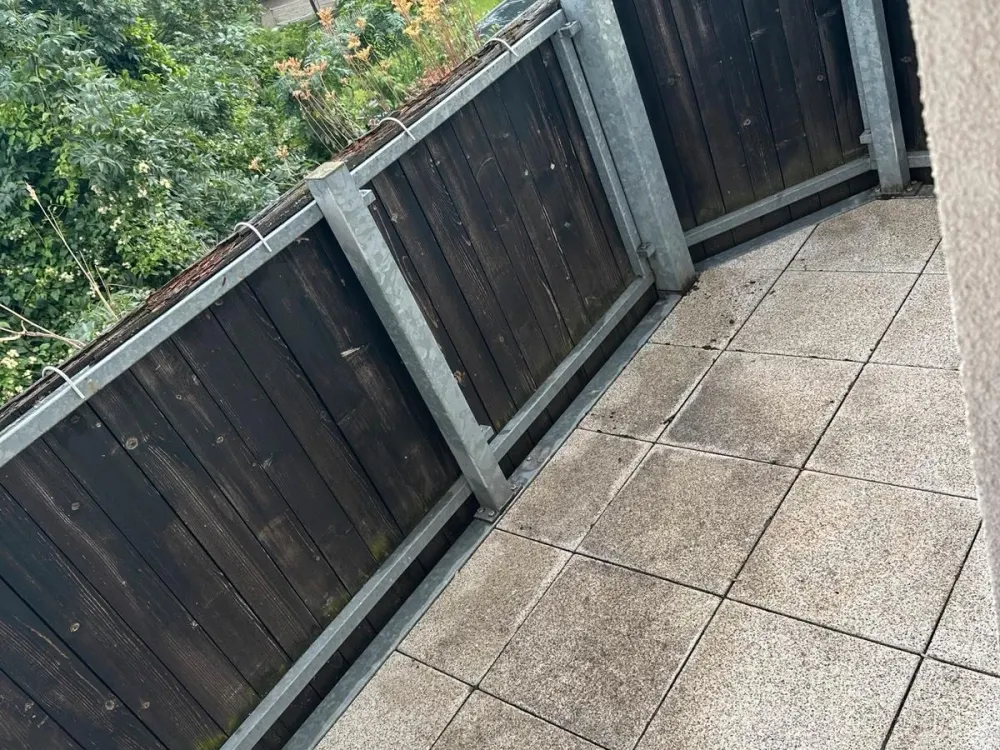 2-Zimmer-Wohnung in Leipzig, Hundebetreuung
