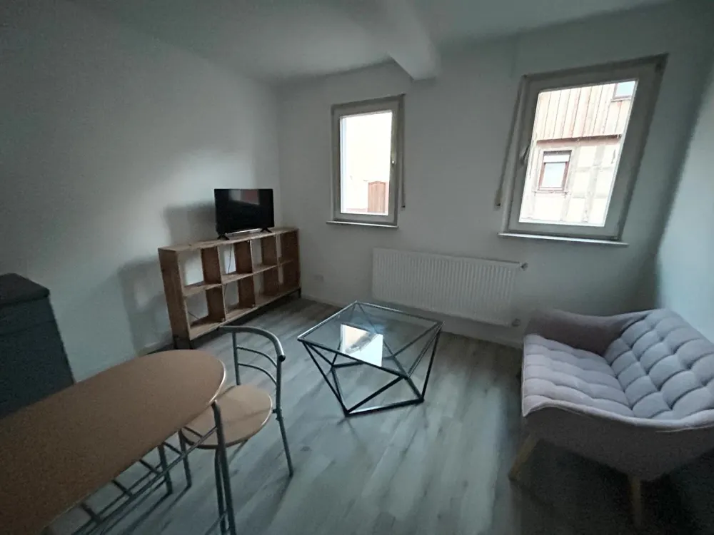 Bright, Fully Renovated 2-Room Apartment in Egelsbach, Furnished