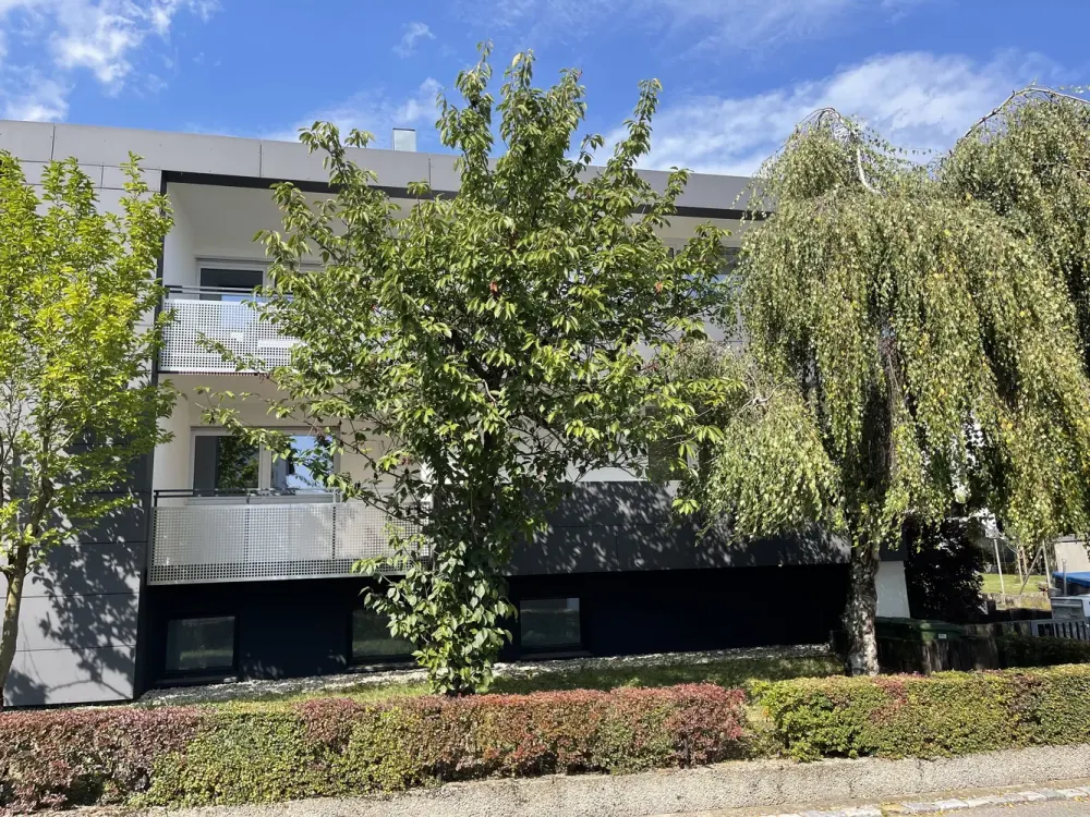 Helle renovierte 3,5 Zimmer Wng mit EBK - Balkon - Parkett