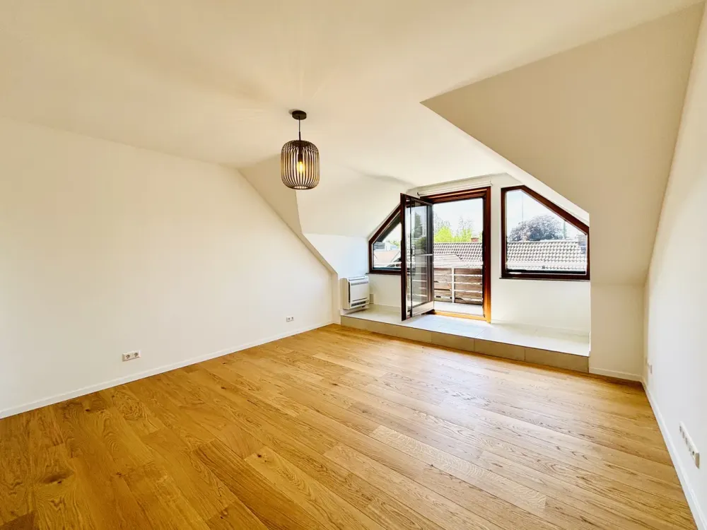 Exciting Attic Apartment with Attic Peak