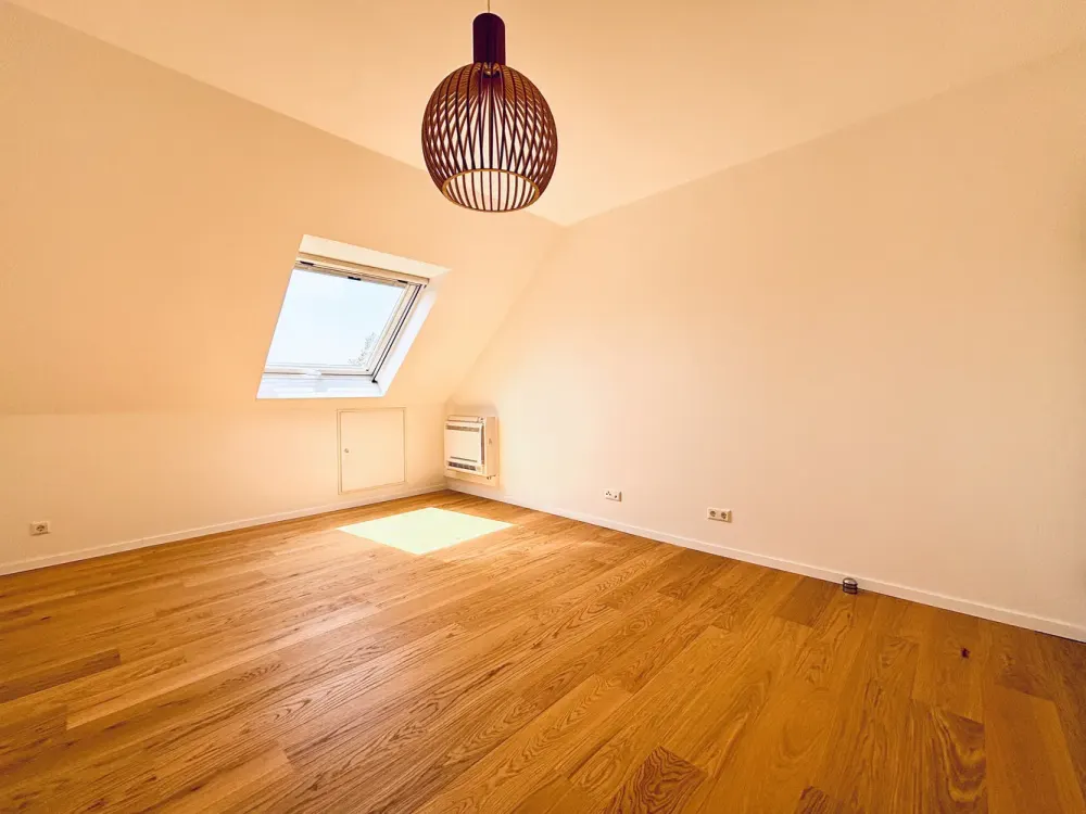 Exciting Attic Apartment with Attic Peak
