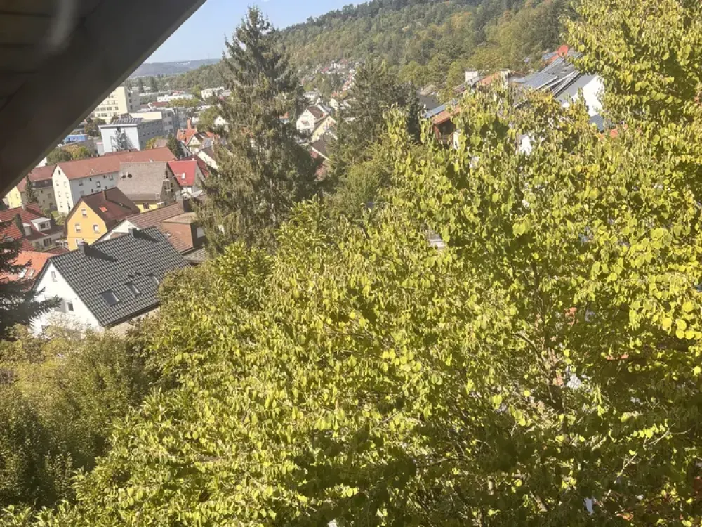 Großzügige 5,5-Zimmer-Wohnung in Plochingen
