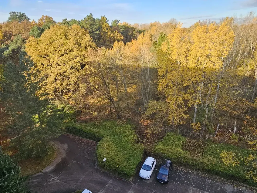 Senioren aufgepasst! Service-Wohnungen im Eichenhof