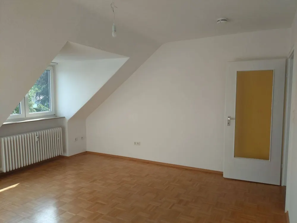 Bright, Newly Renovated Apartment Near the Forest