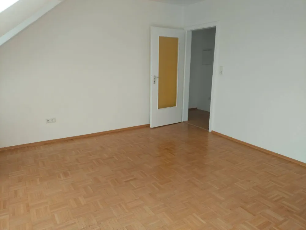 Bright, Newly Renovated Apartment Near the Forest
