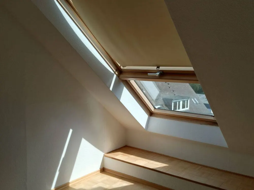 Bright, Newly Renovated Apartment Near the Forest