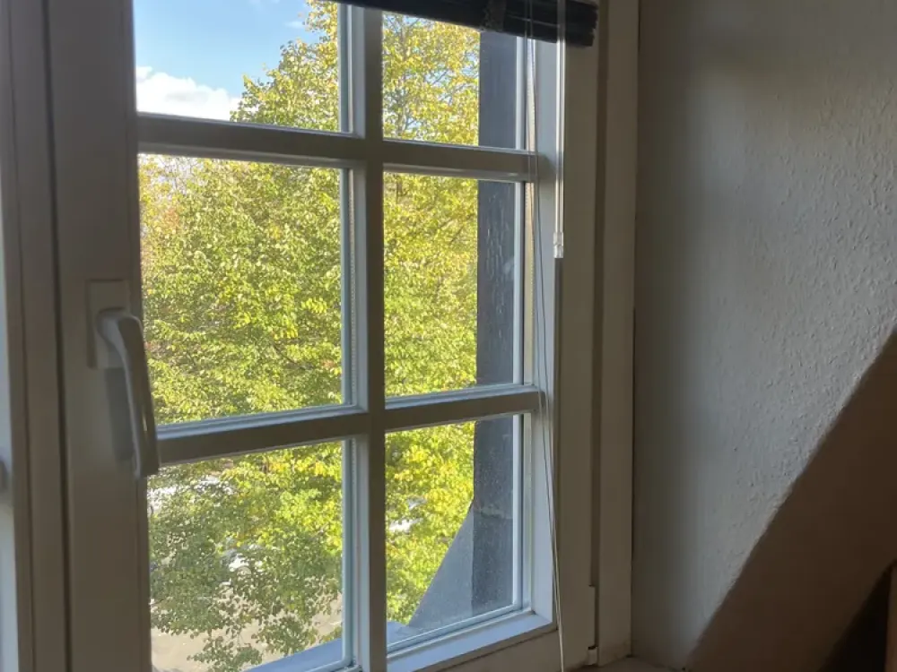 NO Shared Flats; 3-Room Apartment Between Zoo and Flora