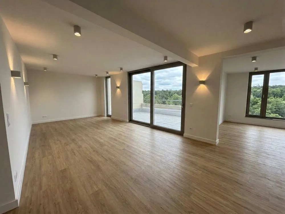 Penthouse Apartment with Large Roof Terrace at Franzenbrunnen