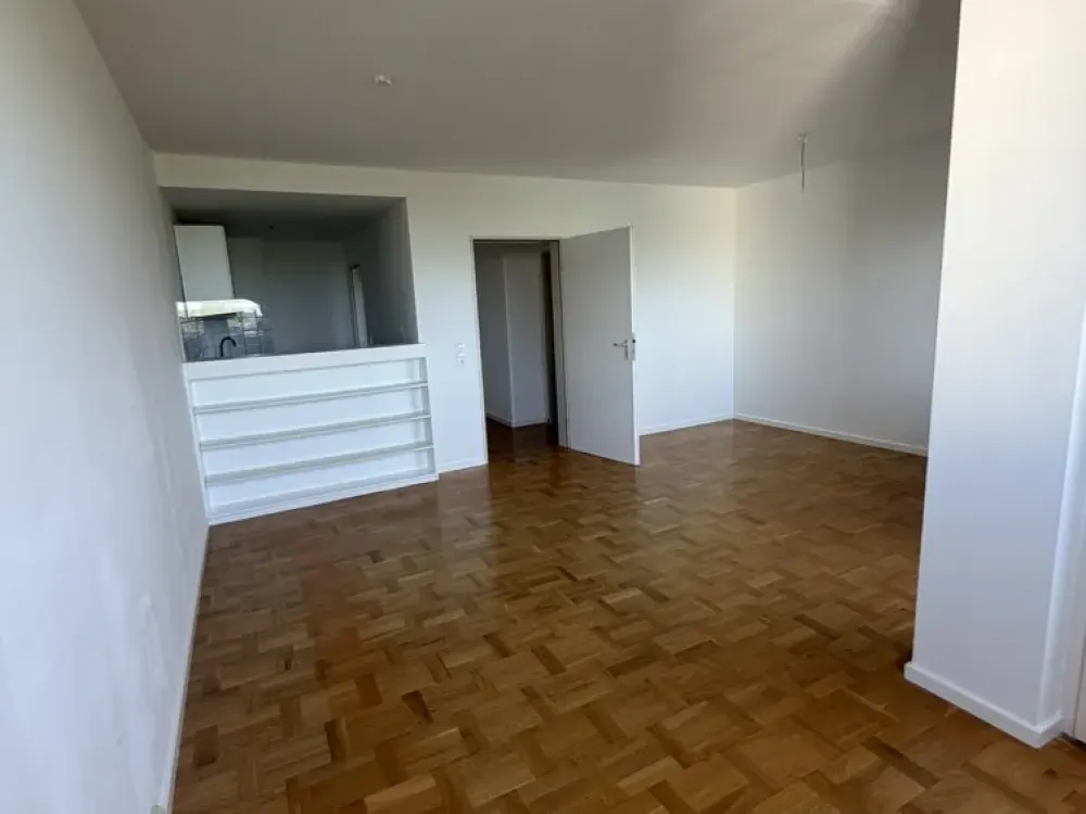 2-Room Apartment in Meersburg, Newly Renovated with New Fitted Kitchen, Basement and Underground Parking Space