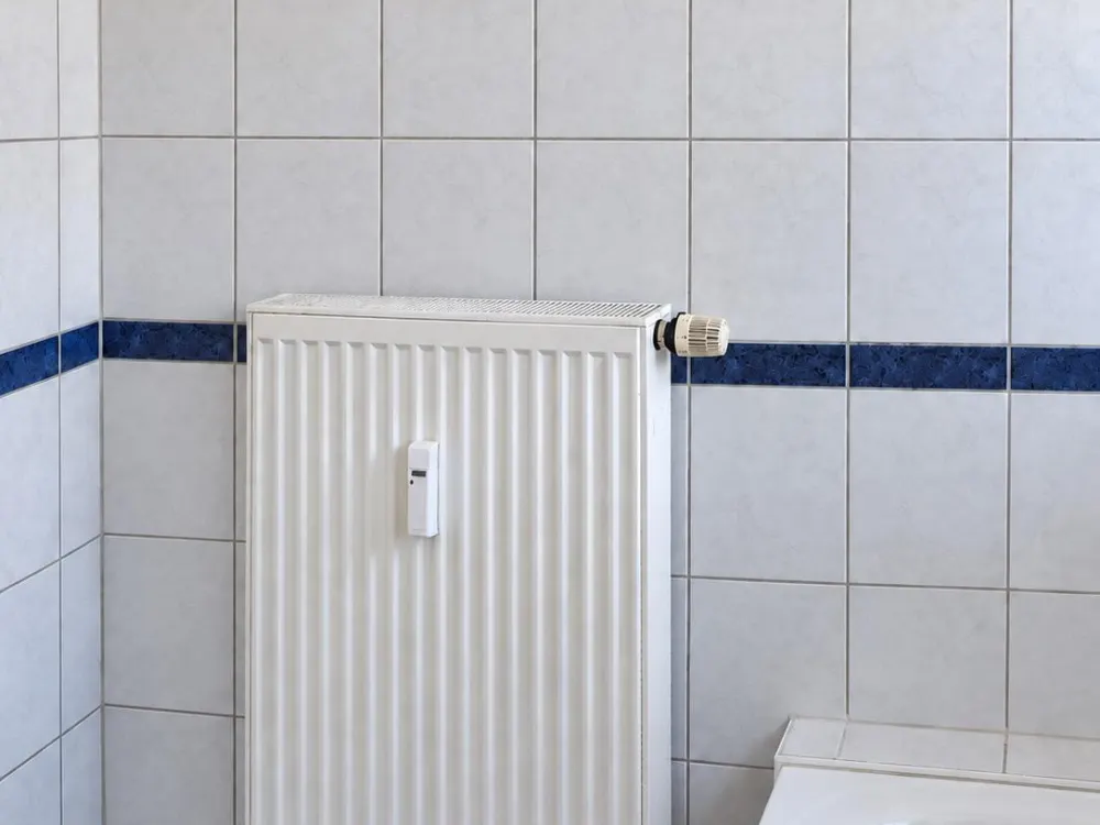 Traumhafte und helle 3-Zimmer Wohnung nahe Frankfurt