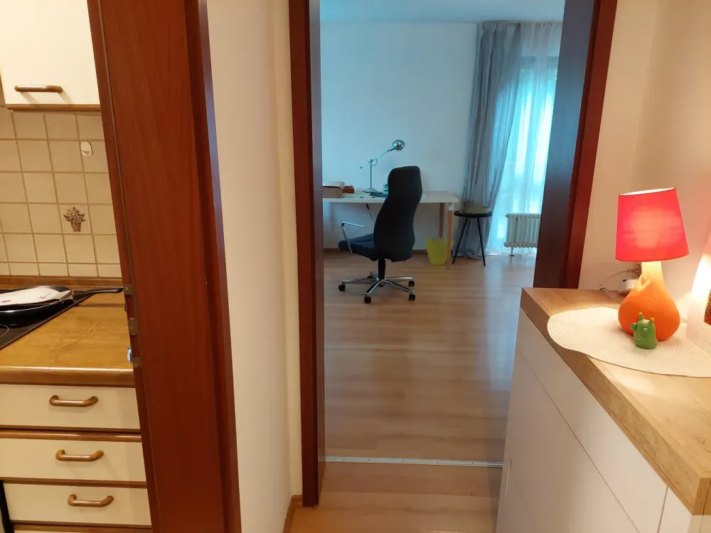 Helle, teilmöblierte Wohnung mit Terrasse im eigenen Garten + Garagenstellplatz