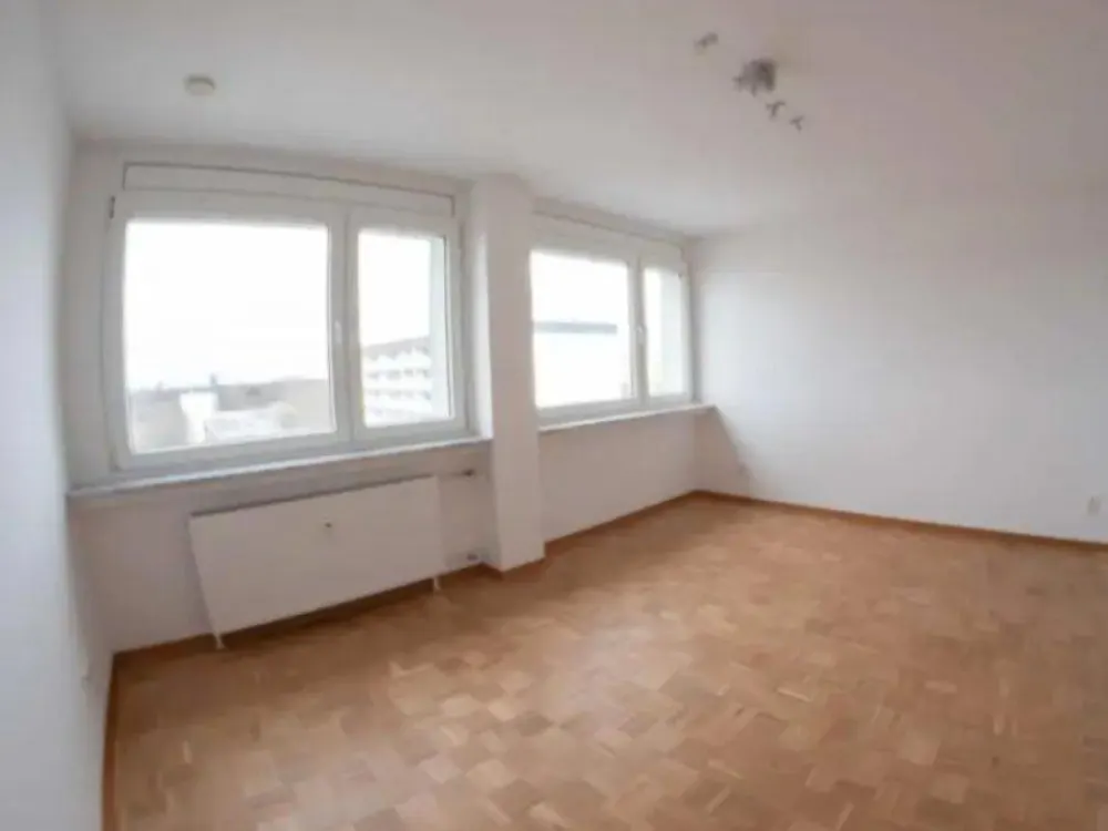 3,5-Zimmer-Wohnung mit Alpenblick und Skyline-Sicht