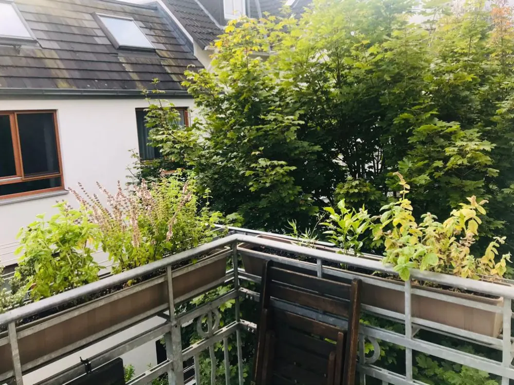 Furnished 2-Room Apartment with Balcony · 50 m² · Eimsbüttel