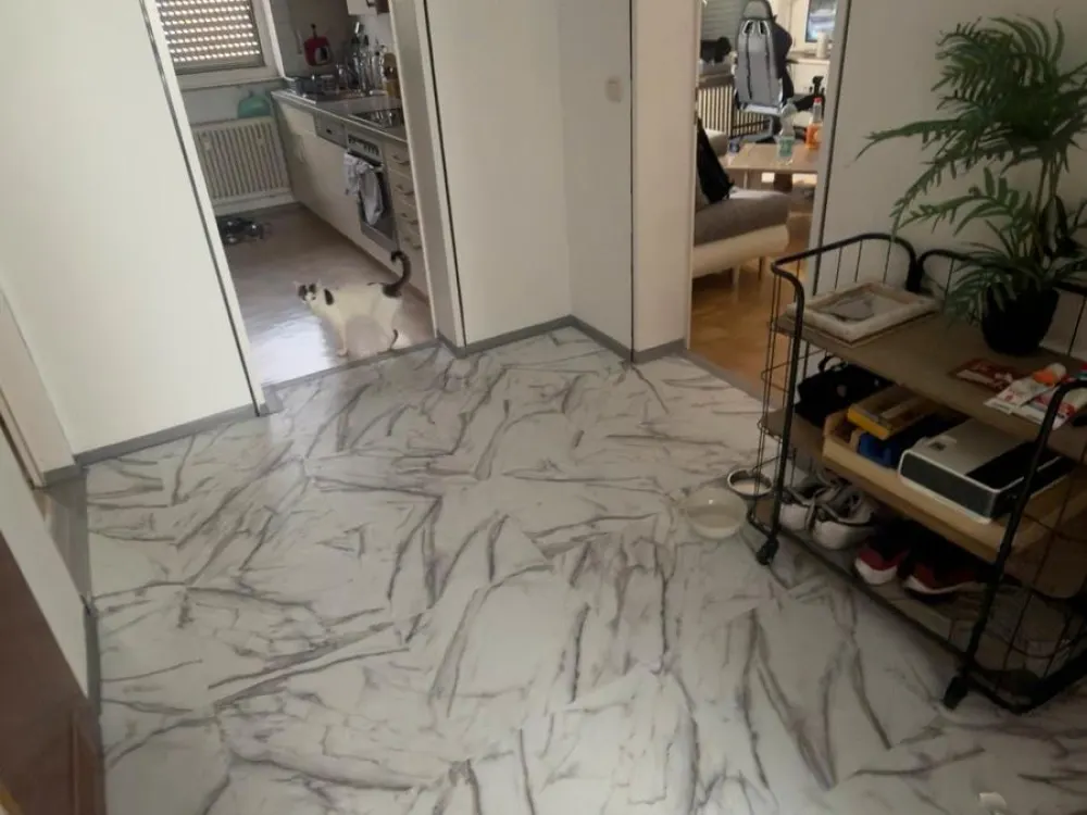 3 Zimmer Wohnung