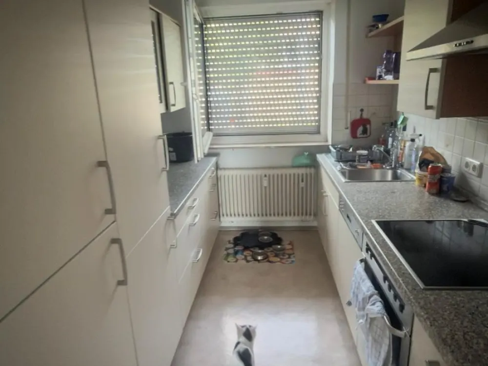 3 Zimmer Wohnung