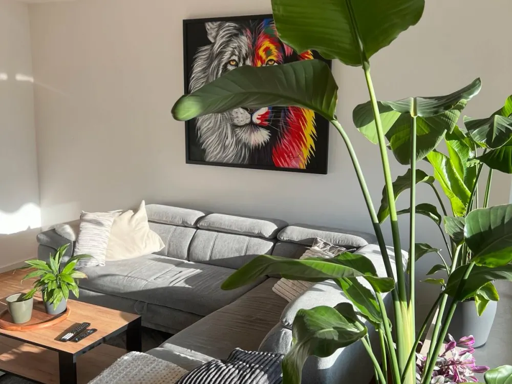 98 m² möblierte Wohnung / Zwischenmiete / 01.03.2027-31.08.2027