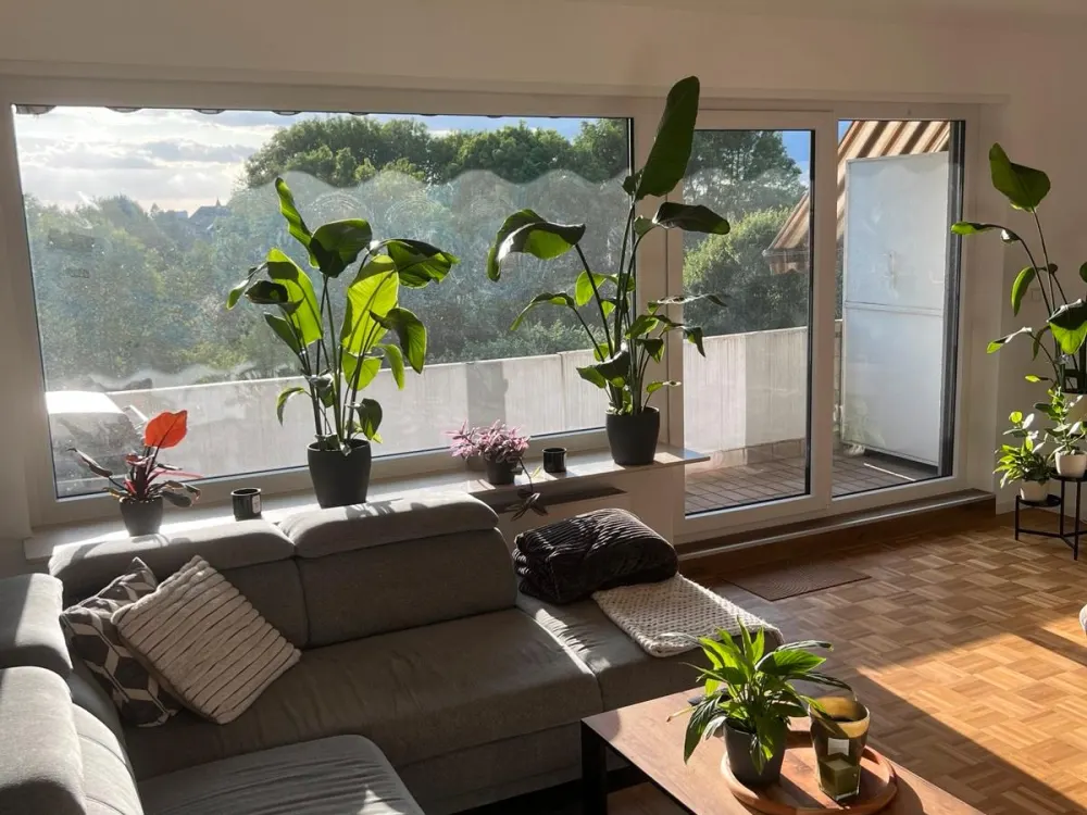 98 m² möblierte Wohnung / Zwischenmiete / 01.03.2027-31.08.2027