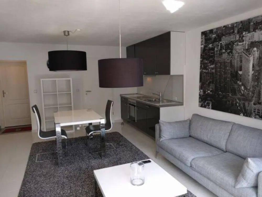Möblierte 2 Zimmer Wohnung