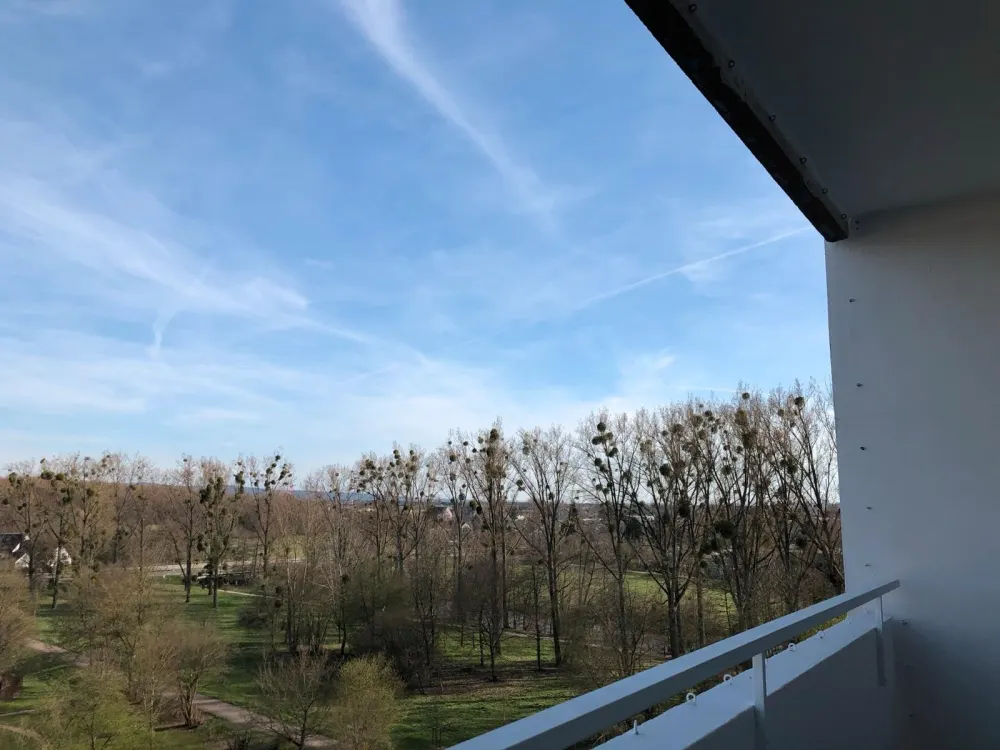 1,5 Zimmer Wohnung Hanau 36 qm