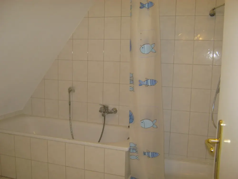 السكن في القلعة (بنتهاوس)