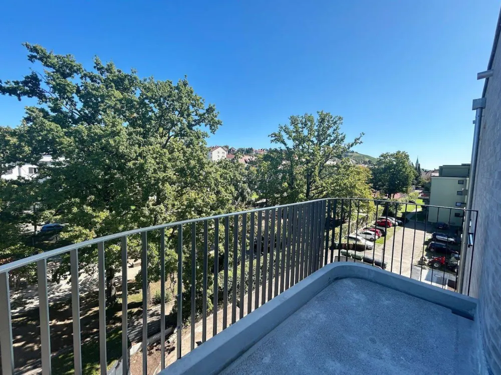 2 Monate mietfrei! 3 ZW mit Dachterrasse & Eckbalkon, Einbauküche, helles Neubauamiente, Aufzug