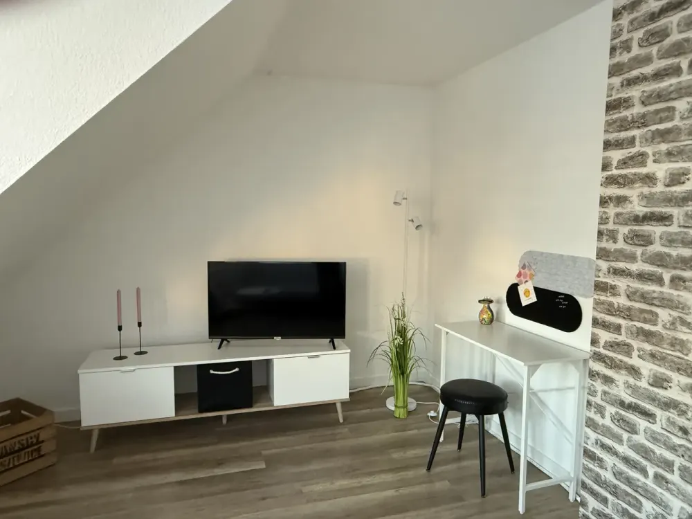 Geschmackvolle, gepflegte, möbilierte Single 2-Raum-DG-Wohnung in Offenbach am Main