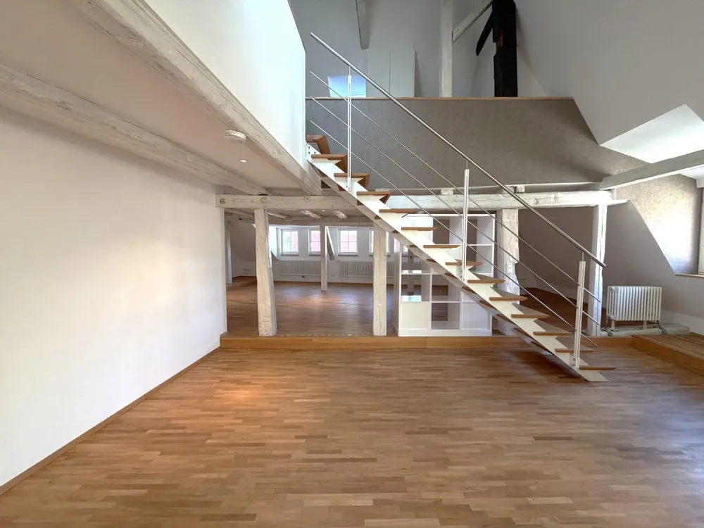 Lichtdurchflutetes Loft mit historischem Flair und komfortablem TG-Stellplatz